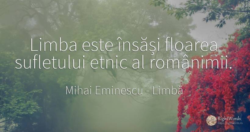 Limba este însăși floarea sufletului etnic al românimii. - Mihai Eminescu, citat despre limbă, suflet