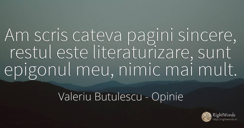 Am scris cateva pagini sincere, restul este... - Valeriu Butulescu, citat despre opinie, scris, nimic