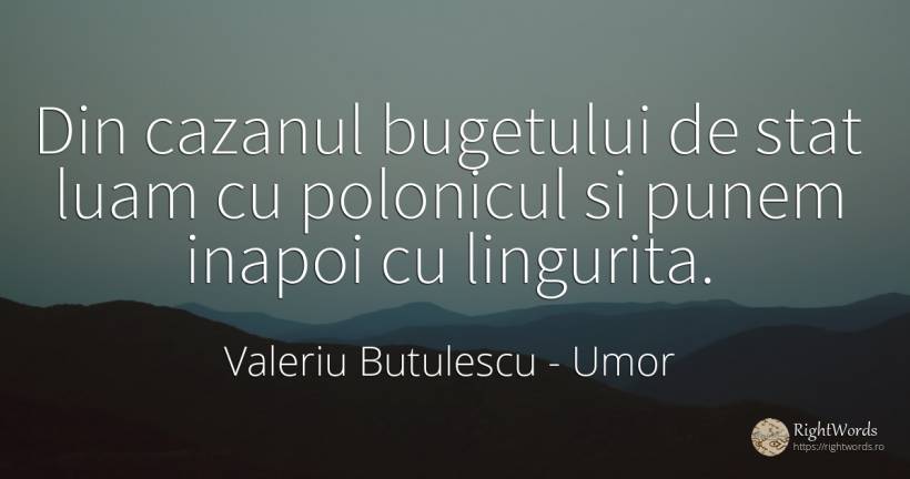 Din cazanul bugetului de stat luam cu polonicul si punem... - Valeriu Butulescu, citat despre umor, stat