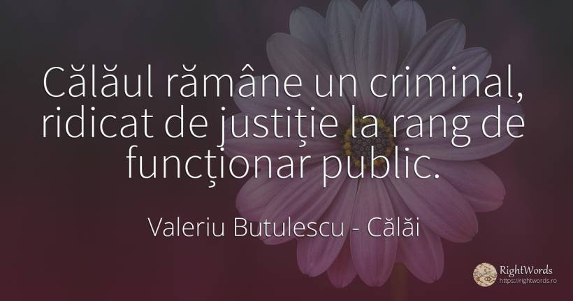 Călăul rămâne un criminal, ridicat de justiție la rang de... - Valeriu Butulescu, citat despre călăi, justiție, infractori, public