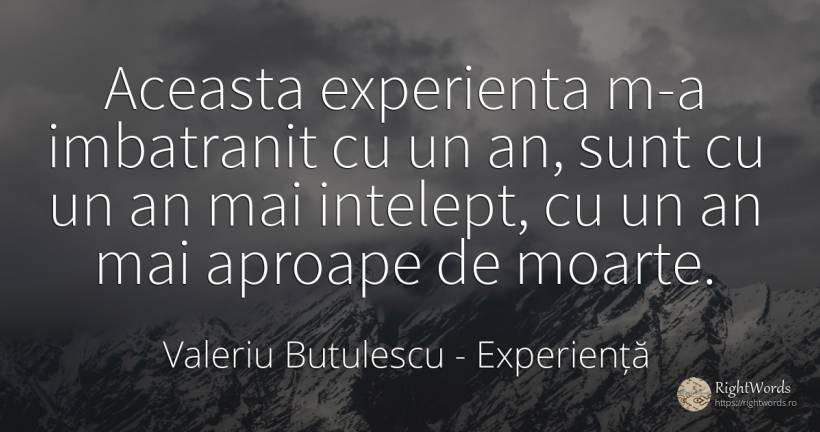Aceasta experienta m-a imbatranit cu un an, sunt cu un an... - Valeriu Butulescu, citat despre experiență, înțelepciune, moarte