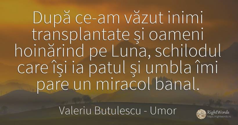 După ce-am văzut inimi transplantate și oameni hoinărind... - Valeriu Butulescu, citat despre umor, inimă, lună, oameni