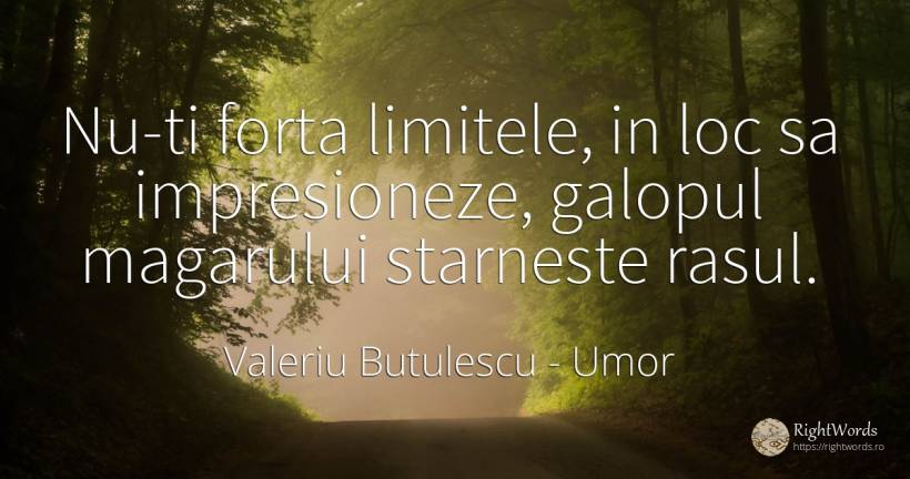 Nu-ti forta limitele, in loc sa impresioneze, galopul... - Valeriu Butulescu, citat despre umor, limite, râs, forță