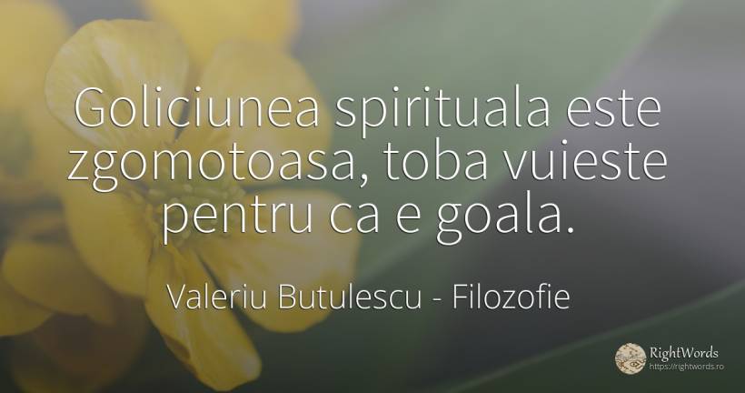 Goliciunea spirituala este zgomotoasa, toba vuieste... - Valeriu Butulescu, citat despre filozofie