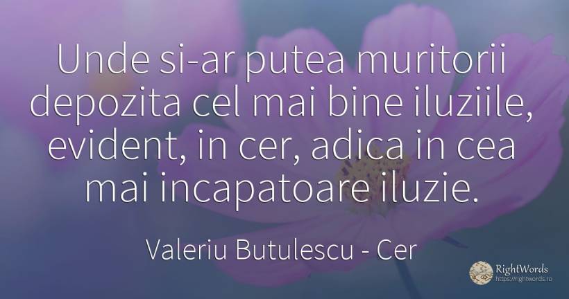 Unde si-ar putea muritorii depozita cel mai bine... - Valeriu Butulescu, citat despre cer, iluzie, bine