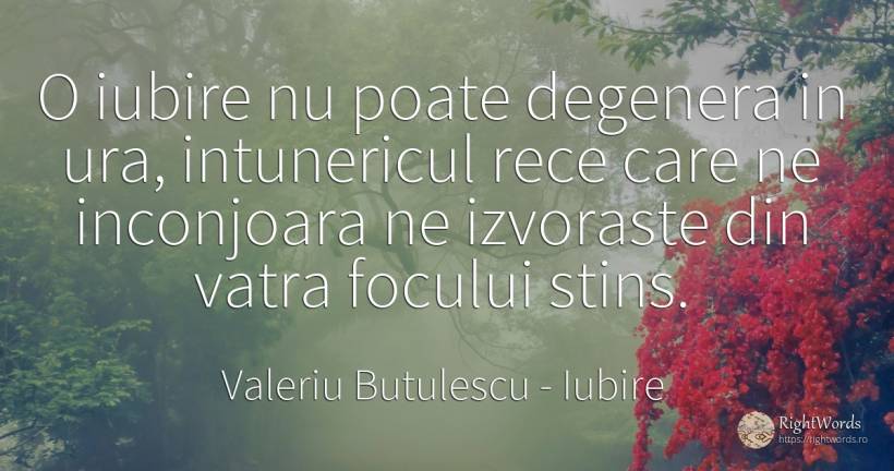 O iubire nu poate degenera in ura, intunericul rece care... - Valeriu Butulescu, citat despre iubire, întuneric, ură