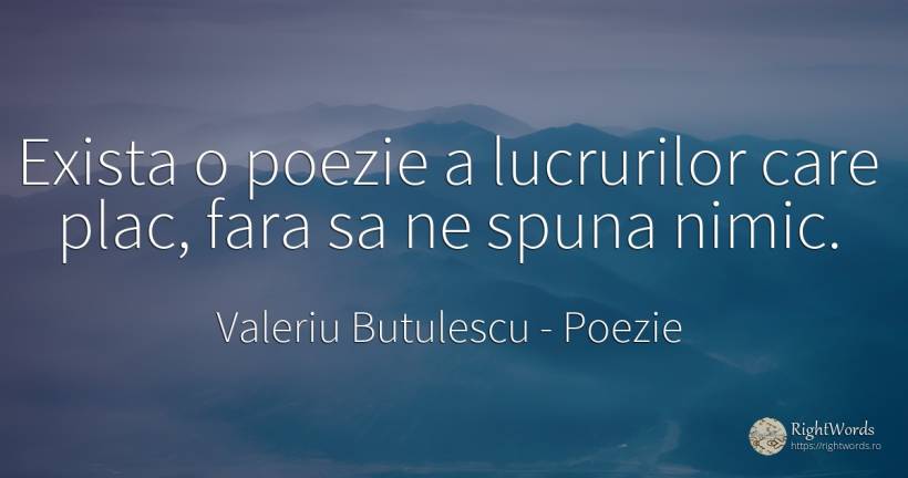Exista o poezie a lucrurilor care plac, fara sa ne spuna... - Valeriu Butulescu, citat despre poezie, nimic