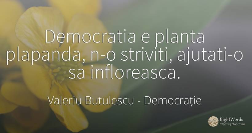 Democratia e planta plapanda, n-o striviti, ajutati-o sa... - Valeriu Butulescu, citat despre democrație