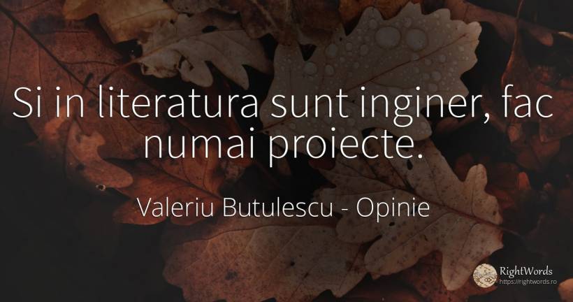 Si in literatura sunt inginer, fac numai proiecte. - Valeriu Butulescu, citat despre opinie, literatură