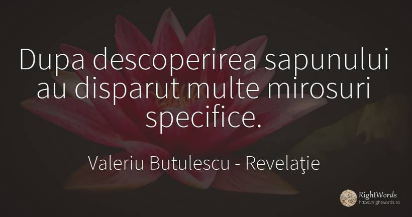 Dupa descoperirea sapunului au disparut multe mirosuri... - Valeriu Butulescu, citat despre revelaţie