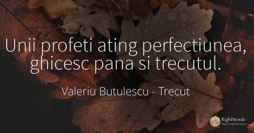 Unii profeti ating perfectiunea, ghicesc pana si trecutul. - Valeriu Butulescu, citat despre perfecţiune, trecut