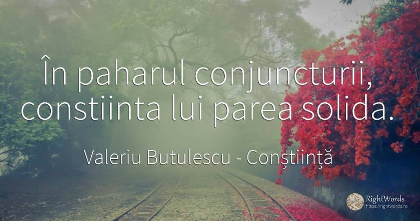 În paharul conjuncturii, constiinta lui parea solida. - Valeriu Butulescu, citat despre conștiință