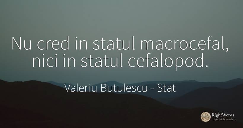 Nu cred in statul macrocefal, nici in statul cefalopod. - Valeriu Butulescu, citat despre stat