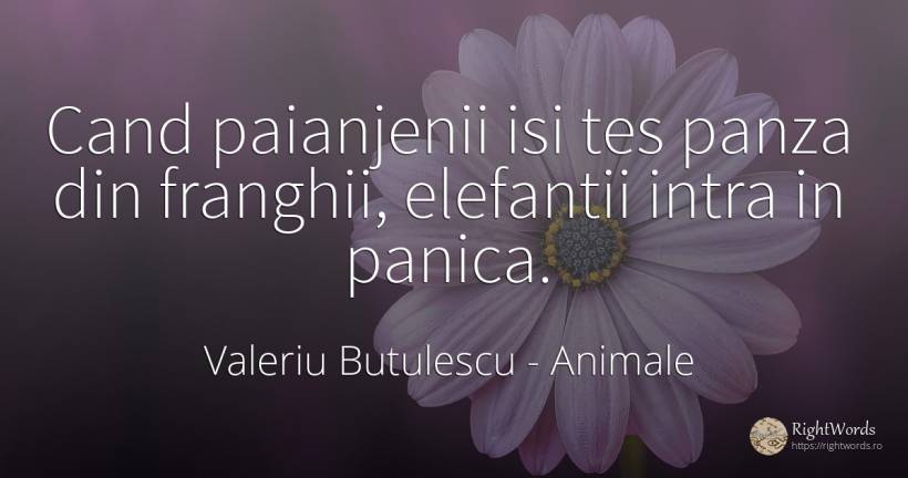 Cand paianjenii isi tes panza din franghii, elefantii... - Valeriu Butulescu, citat despre animale