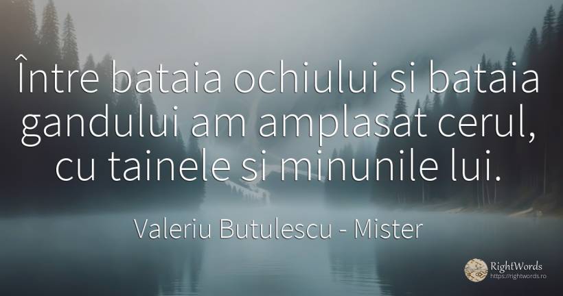 Între bataia ochiului si bataia gandului am amplasat... - Valeriu Butulescu, citat despre mister, minune, cer