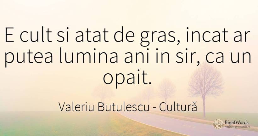 E cult si atat de gras, incat ar putea lumina ani in sir, ... - Valeriu Butulescu, citat despre cultură, lumină