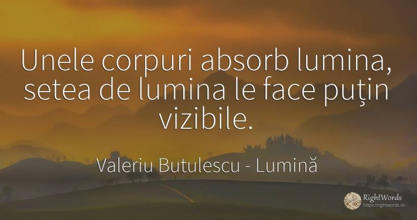 Unele corpuri absorb lumina, setea de lumina le face... - Valeriu Butulescu, citat despre lumină