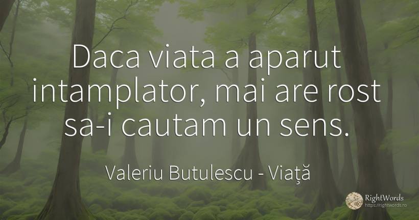 Daca viata a aparut intamplator, mai are rost sa-i cautam... - Valeriu Butulescu, citat despre viață, sens