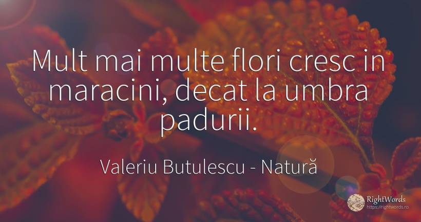Mult mai multe flori cresc in maracini, decat la umbra... - Valeriu Butulescu, citat despre natură, flori, grădină, umbră