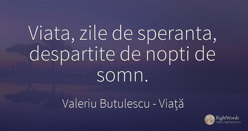 Viata, zile de speranta, despartite de nopti de somn. - Valeriu Butulescu, citat despre viață, noapte, somn, zi, speranță