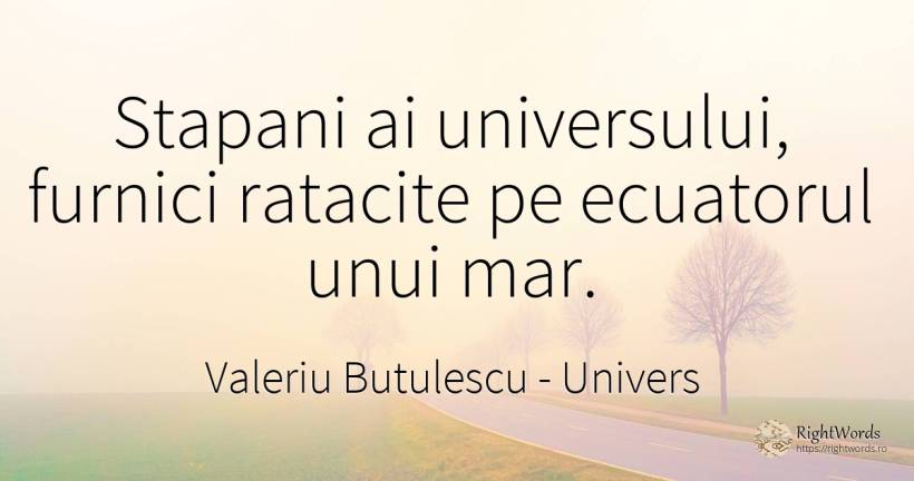 Stapani ai universului, furnici ratacite pe ecuatorul... - Valeriu Butulescu, citat despre univers