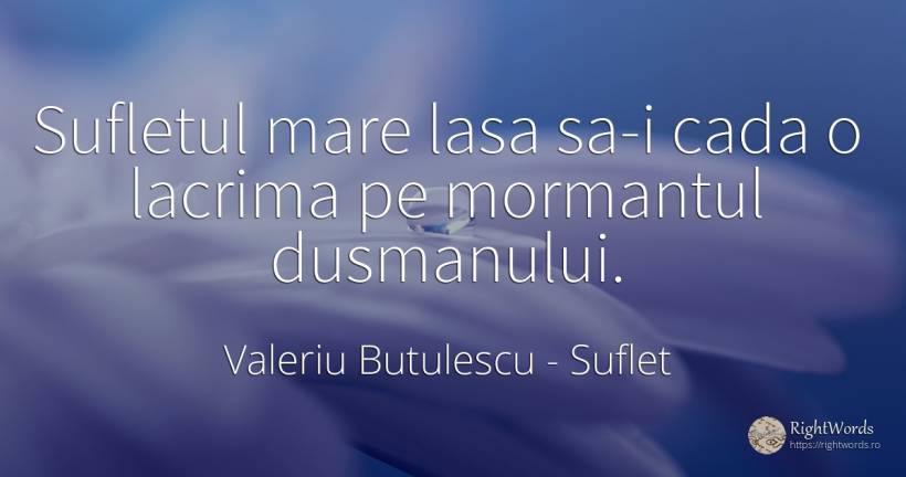 Sufletul mare lasa sa-i cada o lacrima pe mormantul... - Valeriu Butulescu, citat despre suflet, lacrimi