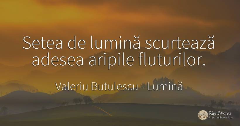 Setea de lumină scurtează adesea aripile fluturilor. - Valeriu Butulescu, citat despre lumină