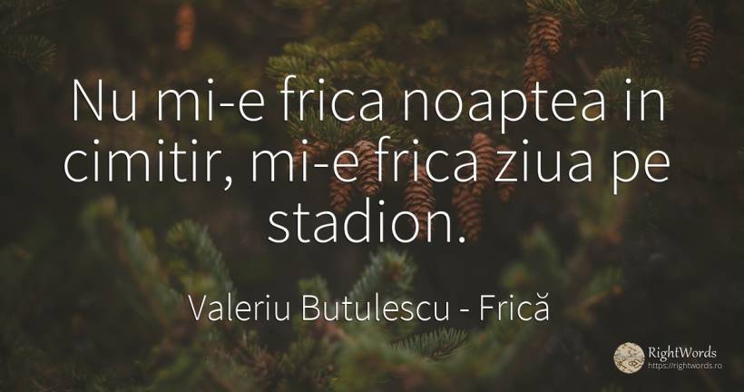 Nu mi-e frica noaptea in cimitir, mi-e frica ziua pe... - Valeriu Butulescu, citat despre frică, noapte, salariu, zi, zi de naștere