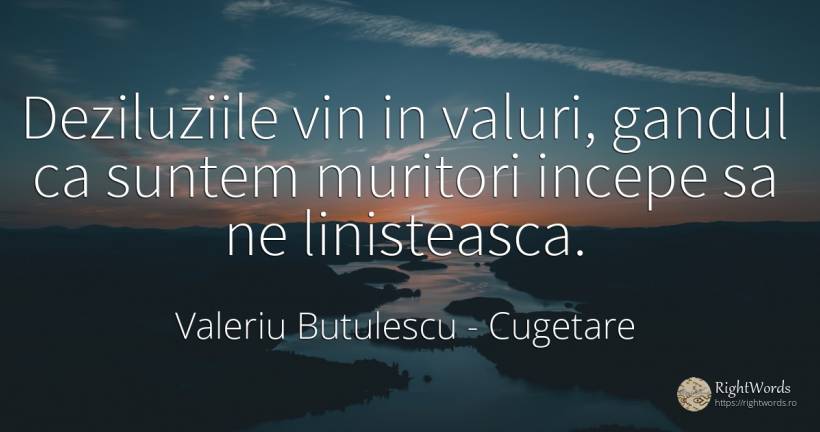 Deziluziile vin in valuri, gandul ca suntem muritori... - Valeriu Butulescu, citat despre cugetare, vin