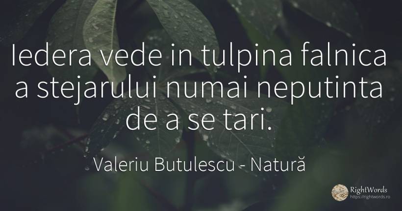 Iedera vede in tulpina falnica a stejarului numai... - Valeriu Butulescu, citat despre natură