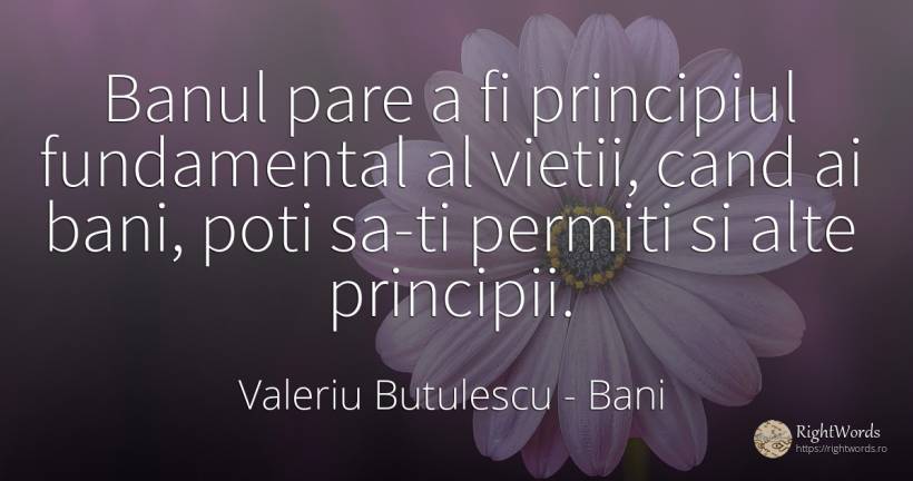 Banul pare a fi principiul fundamental al vietii, cand ai... - Valeriu Butulescu, citat despre bani, principiu, viață