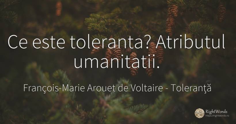 Ce este toleranta? Atributul umanitatii. - François-Marie Arouet de Voltaire, citat despre toleranță