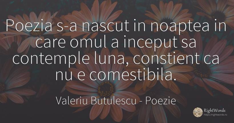 Poezia s-a nascut in noaptea in care omul a inceput sa... - Valeriu Butulescu, citat despre poezie, lună, noapte, naștere, început, oameni