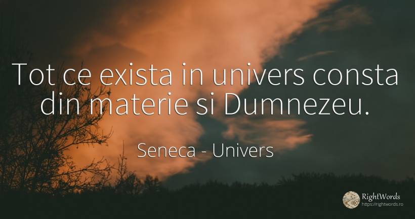 Tot ce exista in univers consta din materie si Dumnezeu. - Seneca (Seneca The Younger), citat despre univers, dumnezeu