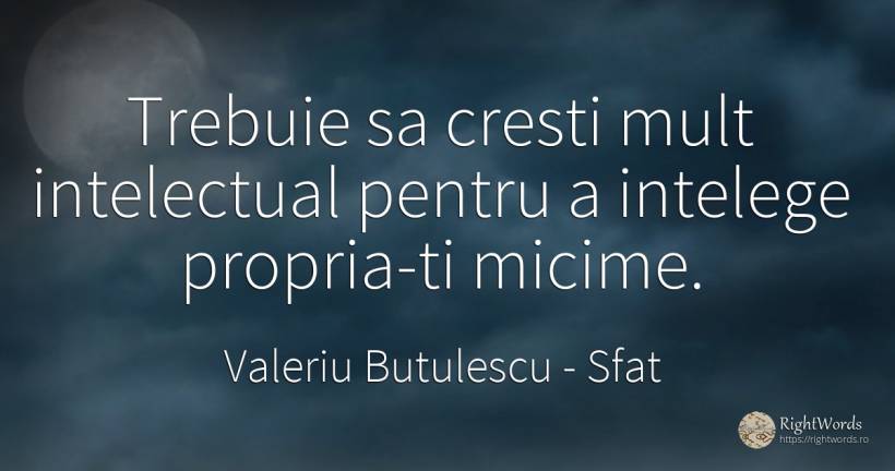 Trebuie sa cresti mult intelectual pentru a intelege... - Valeriu Butulescu, citat despre sfat