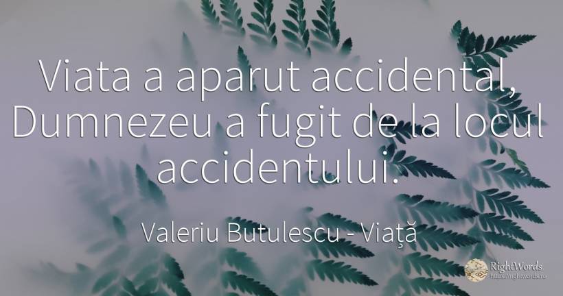 Viata a aparut accidental, Dumnezeu a fugit de la locul... - Valeriu Butulescu, citat despre viață, dumnezeu