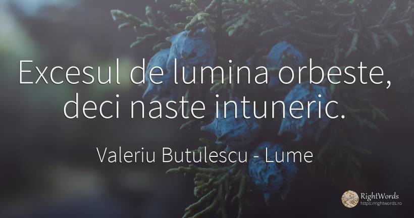 Excesul de lumina orbeste, deci naste intuneric. - Valeriu Butulescu, citat despre lume, exces, întuneric, lumină