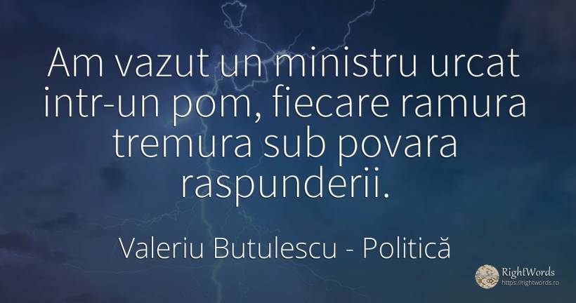 Am vazut un ministru urcat intr-un pom, fiecare ramura... - Valeriu Butulescu, citat despre politică, povară