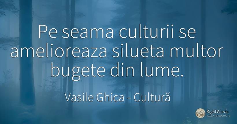 Pe seama culturii se amelioreaza silueta multor bugete... - Vasile Ghica, citat despre cultură, lume