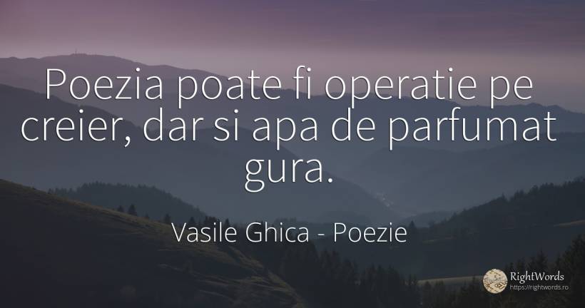 Poezia poate fi operatie pe creier, dar si apa de... - Vasile Ghica, citat despre poezie, creier, apă