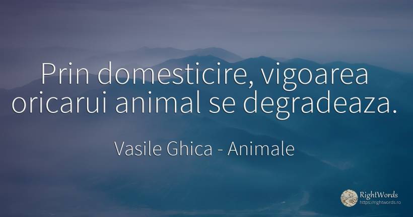 Prin domesticire, vigoarea oricarui animal se degradeaza. - Vasile Ghica, citat despre animale