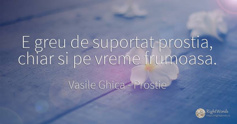 E greu de suportat prostia, chiar si pe vreme frumoasa. - Vasile Ghica, citat despre prostie, vreme