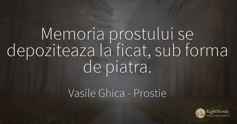 Memoria prostului se depoziteaza la ficat, sub forma de... - Vasile Ghica, citat despre prostie, memorie, pietre