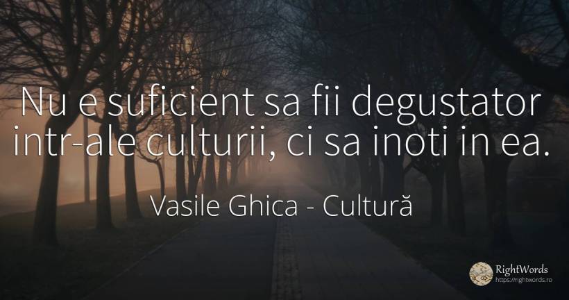 Nu e suficient sa fii degustator intr-ale culturii, ci sa... - Vasile Ghica, citat despre cultură