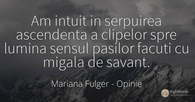Am intuit in serpuirea ascendenta a clipelor spre lumina... - Mariana Fulger, citat despre opinie, sens, lumină