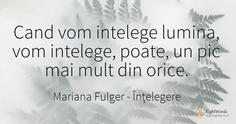 Cand vom intelege lumina, vom intelege, poate, un pic mai... - Mariana Fulger, citat despre înțelegere, lumină