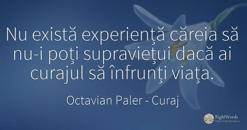Nu există experiență căreia să nu-i poți supraviețui dacă... - Octavian Paler, citat despre curaj, supraviețuire, experiență, viață