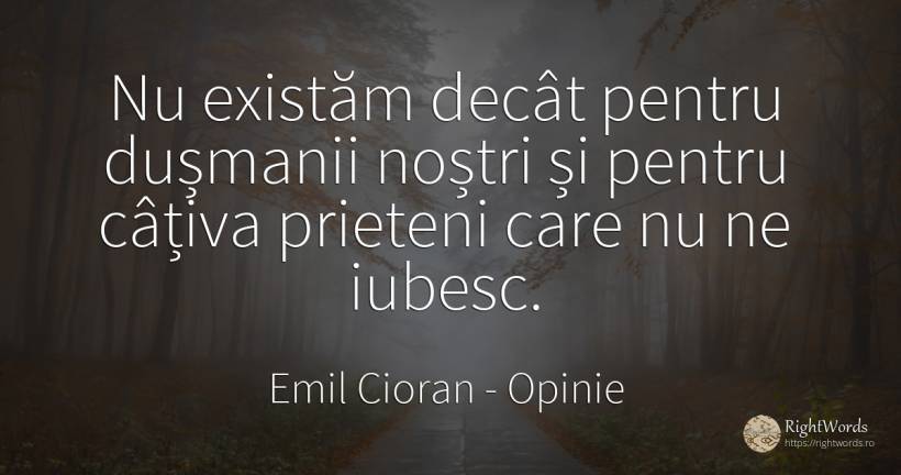 Nu existăm decât pentru dușmanii noștri și pentru câțiva... - Emil Cioran, citat despre opinie, dușmani, prietenie