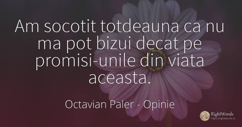 Am socotit totdeauna ca nu ma pot bizui decat pe... - Octavian Paler, citat despre opinie, viață