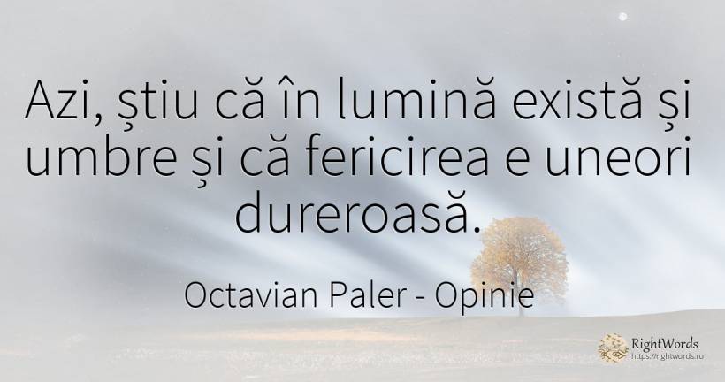 Azi, știu că în lumină există și umbre și că fericirea e... - Octavian Paler, citat despre opinie, umbră, fericire, lumină